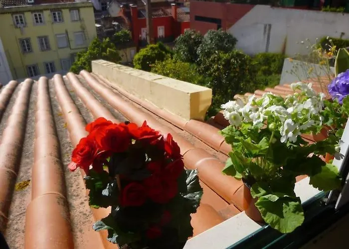 My Fair - Santos Duplex *